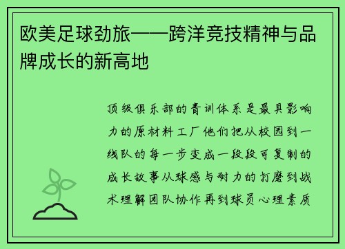 欧美足球劲旅——跨洋竞技精神与品牌成长的新高地
