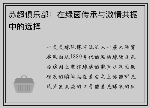 苏超俱乐部：在绿茵传承与激情共振中的选择