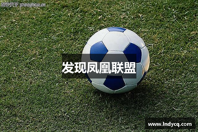 发现凤凰联盟